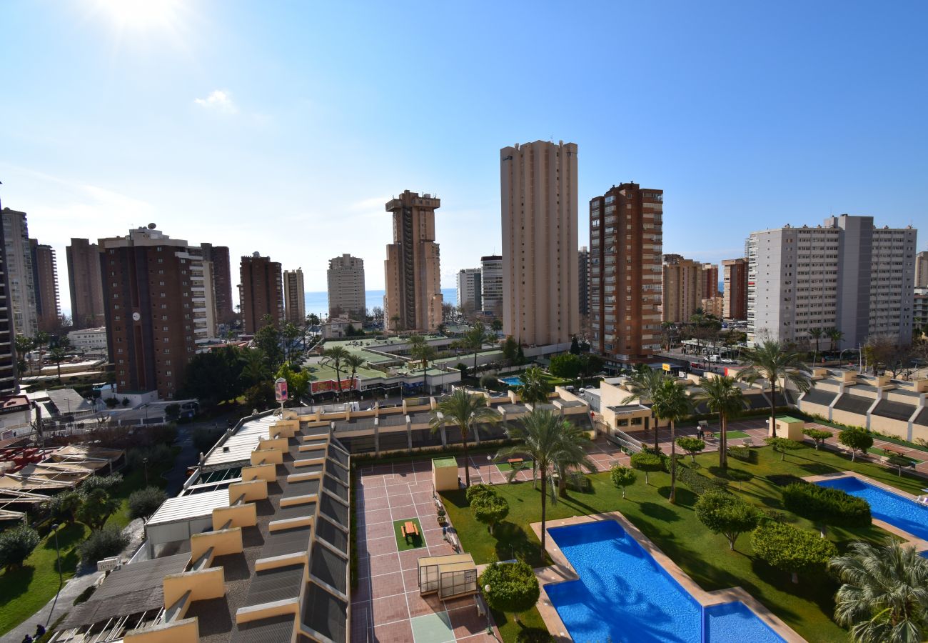 Apartment in Benidorm - GEMELOS 20 (1 BEDROOM)