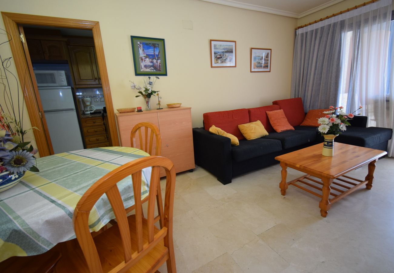 Apartment in Benidorm - GEMELOS 20 (1 BEDROOM)