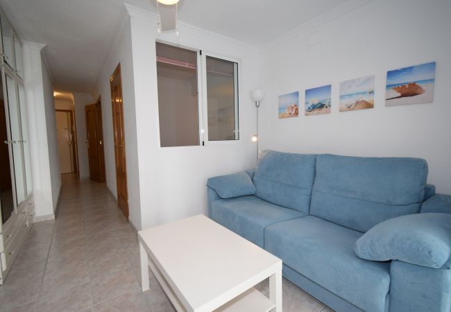 Studio in Benidorm - LOS CABALLOS (STUDIO) WITH TERRACE