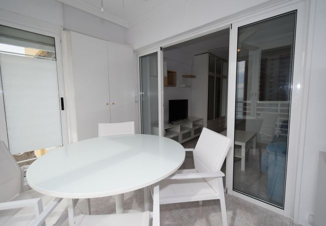 Studio in Benidorm - LOS CABALLOS (STUDIO) WITH TERRACE