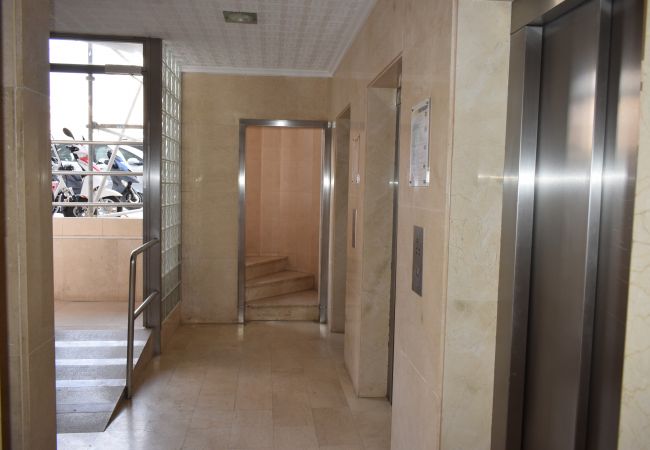 Studio in Benidorm - LOS CABALLOS (STUDIO) WITH TERRACE Studio in Benidorm - LOS CABALLOS (STUDIO) WITH TERRACE