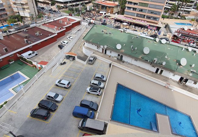 Studio in Benidorm - LOS CABALLOS (STUDIO) WITH TERRACE