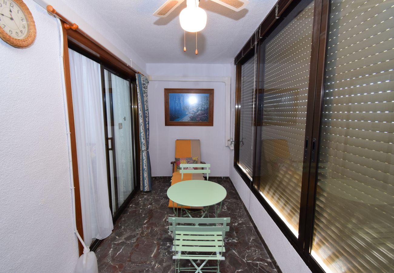 Apartment in Benidorm - BENIBEACH (1 BEDROOM)