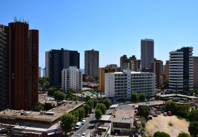 Apartment in Benidorm - LIDERSOL (2 BEDROOMS) Apartment in Benidorm - LIDERSOL (2 BEDROOMS)
