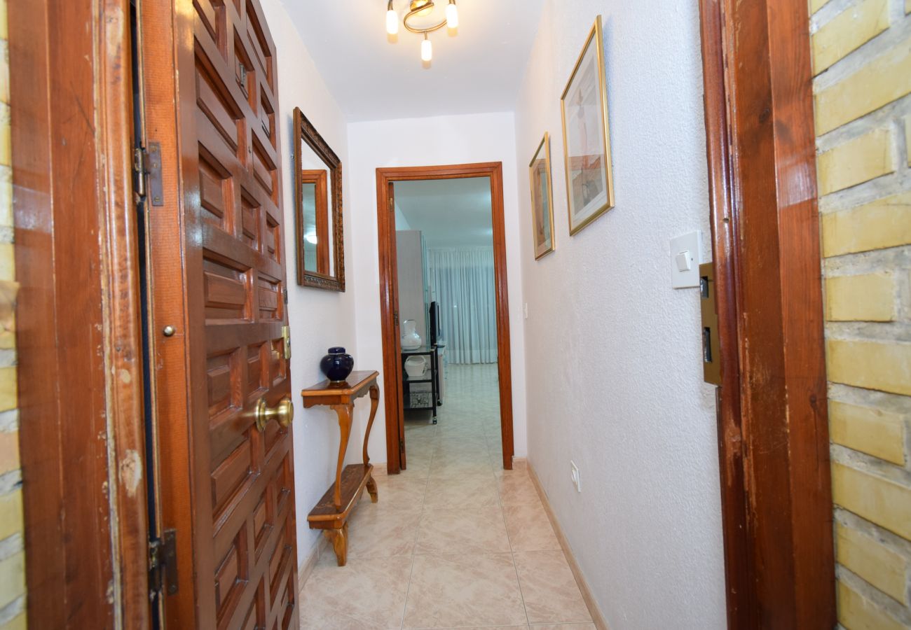 Apartment in Benidorm - LIDERSOL (2 BEDROOMS)