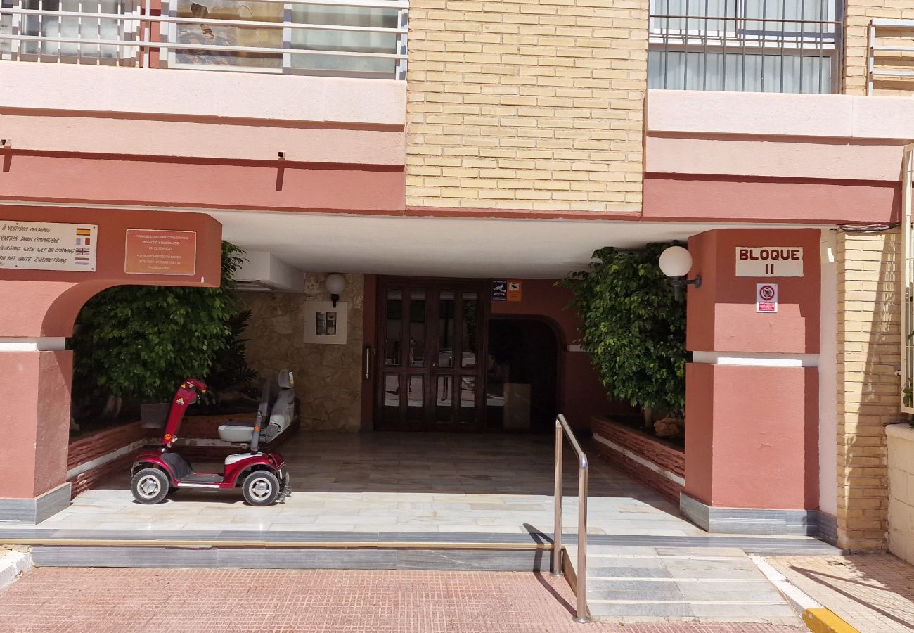 Apartment in Benidorm - LIDERSOL (2 BEDROOMS)