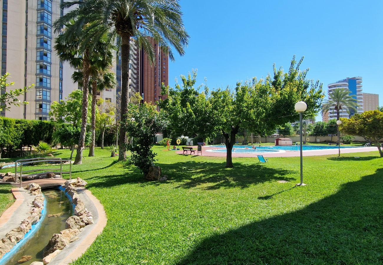 Apartment in Benidorm - LIDERSOL (2 BEDROOMS)