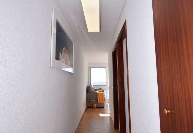 Apartment in Benidorm - PALMERAS (1 BEDROOM) NO BALCONY