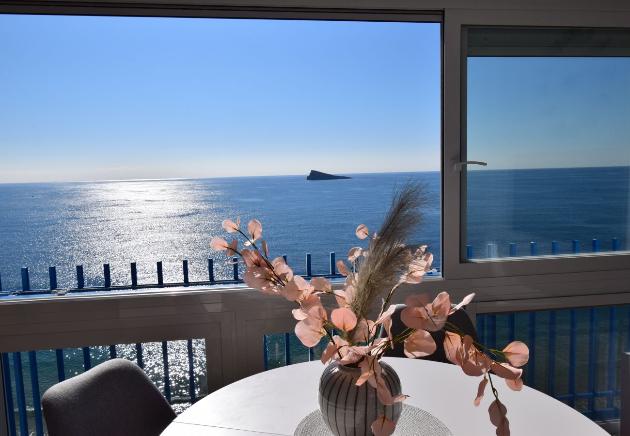 Apartment in Benidorm - PALMERAS (1 BEDROOM) NO BALCONY