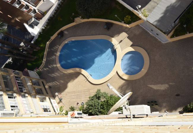 Apartment in Benidorm - KAROLA (2 BEDROOMS) BENIDORM