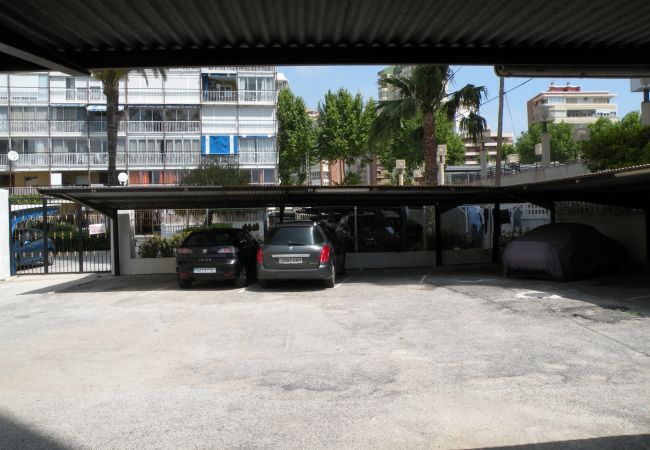 Apartment in Benidorm - MAR Y VENT - SEA VIEW (3 BEDROOMS)