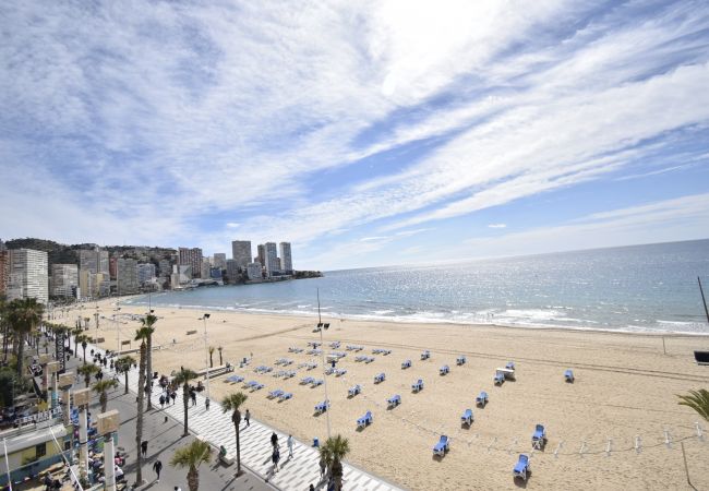 Apartment in Benidorm - MAR Y VENT - SEA VIEW (3 BEDROOMS)