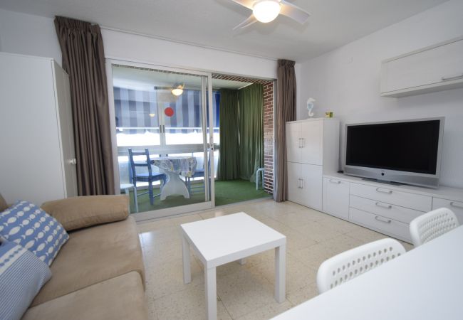 Apartment in Benidorm - TORRE SAN SEBASTIAN (1 BEDROOM)