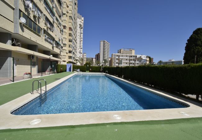 Apartment in Benidorm - MARISCAL 4 (1 BEDROOM)