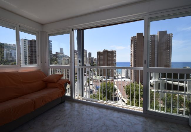 Apartment in Benidorm - ALBATROS (1 BEDROOM) Apartment in Benidorm - ALBATROS (1 BEDROOM)