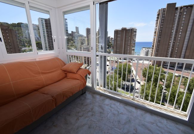 Apartment in Benidorm - ALBATROS (1 BEDROOM) Apartment in Benidorm - ALBATROS (1 BEDROOM)