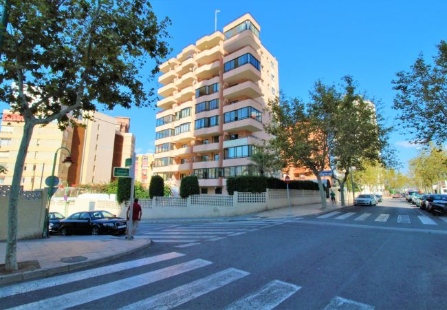 Apartment in Benidorm - CADIZ (1 BEDROOM) Apartment in Benidorm - CADIZ (1 BEDROOM)