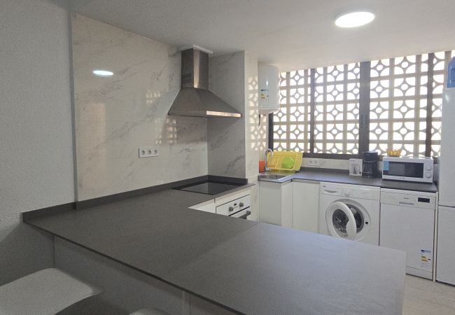 Apartment in Benidorm - MARISCAL 3  2I (1  BEDROOM) Apartment in Benidorm - MARISCAL 3  2I (1  BEDROOM)