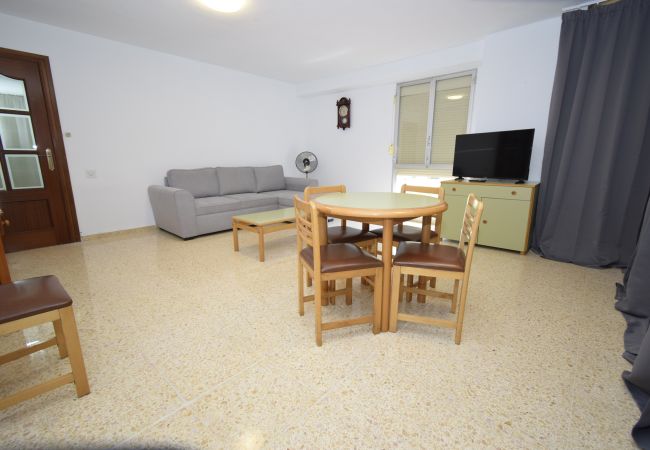Apartment in Benidorm - GIRASOL (1 BEDROOM) Apartment in Benidorm - GIRASOL (1 BEDROOM)