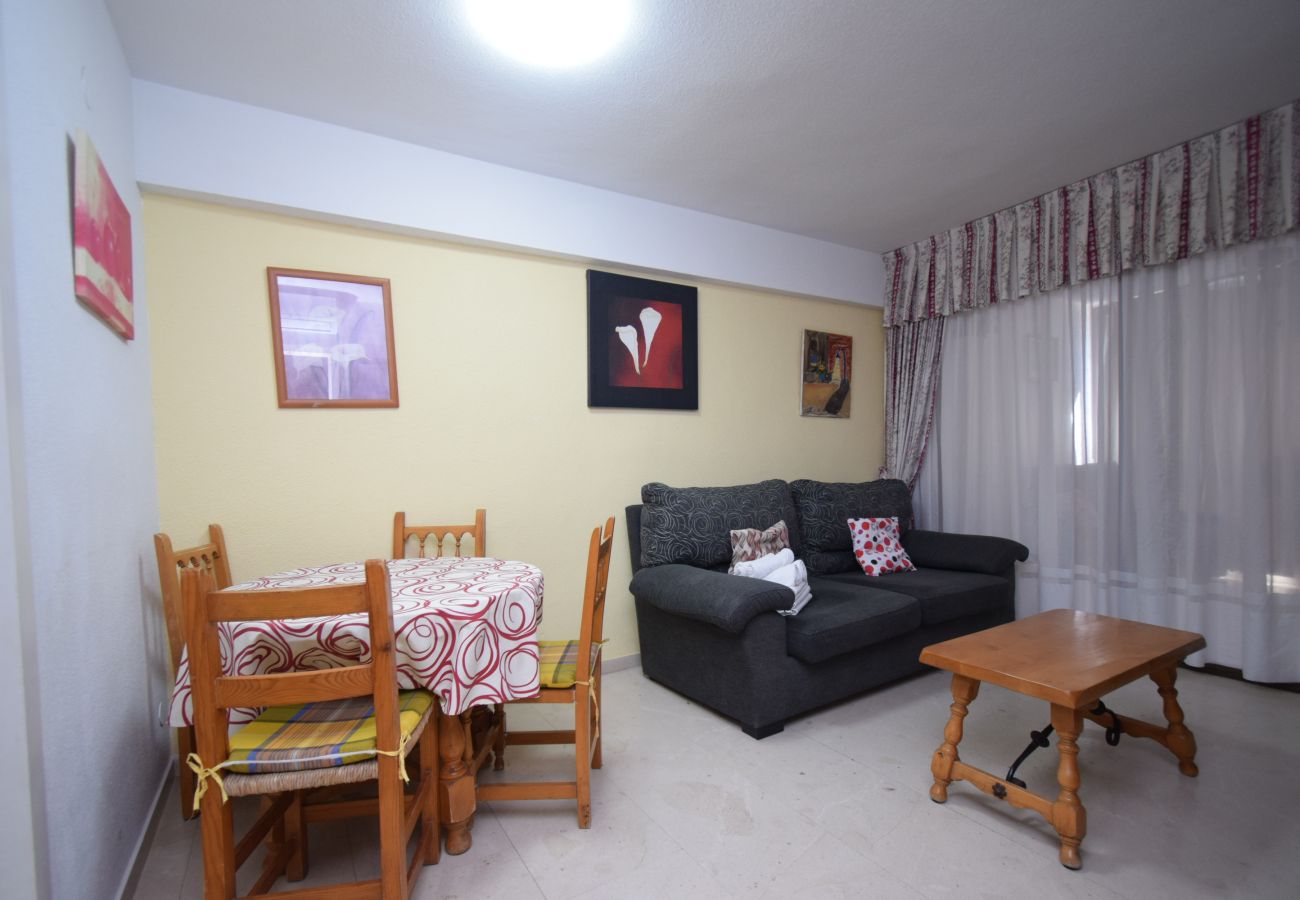 Apartment in Benidorm - LOS GEMELOS (1 BEDROOM)