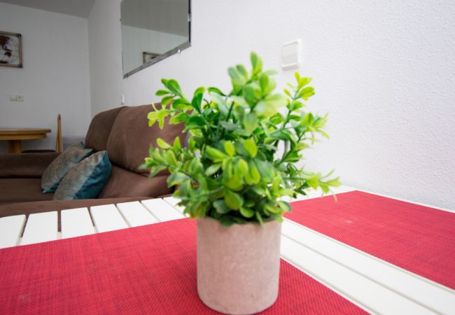 Apartment in Benidorm - TOMAS ORTUÑO 2C (1 BEDROOM) Apartment in Benidorm - TOMAS ORTUÑO 2C (1 BEDROOM)