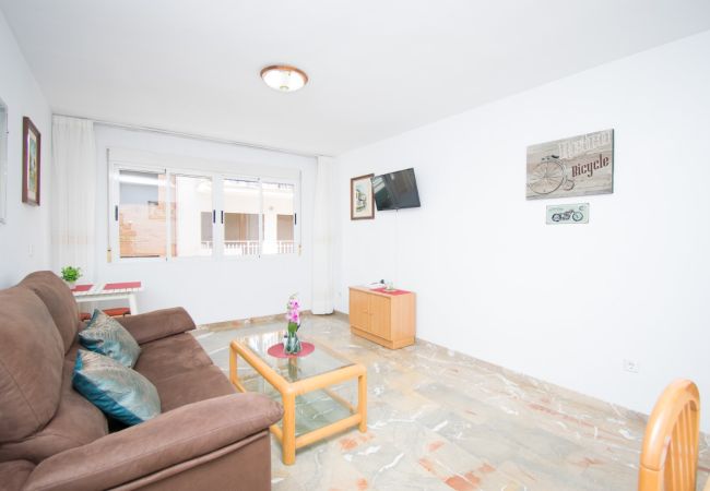 Apartment in Benidorm - TOMAS ORTUÑO 2C (1 BEDROOM) Apartment in Benidorm - TOMAS ORTUÑO 2C (1 BEDROOM)