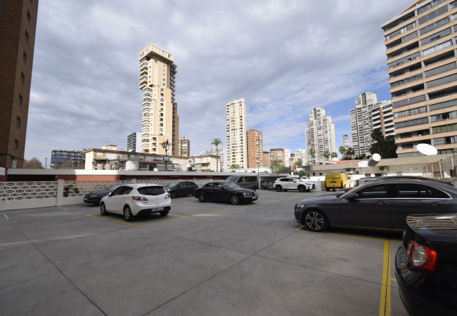 Studio in Benidorm - CABALLOS 2D (STUDIO) Studio in Benidorm - CABALLOS 2D (STUDIO)