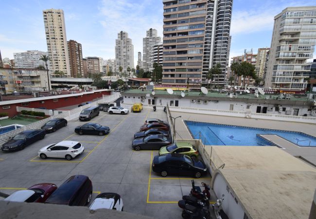 Studio in Benidorm - CABALLOS 2D (STUDIO) Studio in Benidorm - CABALLOS 2D (STUDIO)