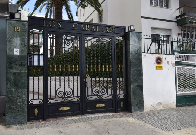 Studio in Benidorm - CABALLOS 2D (STUDIO) Studio in Benidorm - CABALLOS 2D (STUDIO)