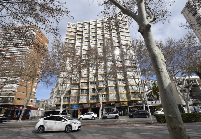 Studio in Benidorm - CABALLOS 2D (STUDIO) Studio in Benidorm - CABALLOS 2D (STUDIO)