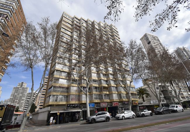 Studio in Benidorm - CABALLOS 2D (STUDIO) Studio in Benidorm - CABALLOS 2D (STUDIO)