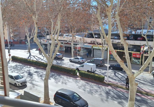 Studio in Benidorm - CABALLOS 2D (STUDIO) Studio in Benidorm - CABALLOS 2D (STUDIO)