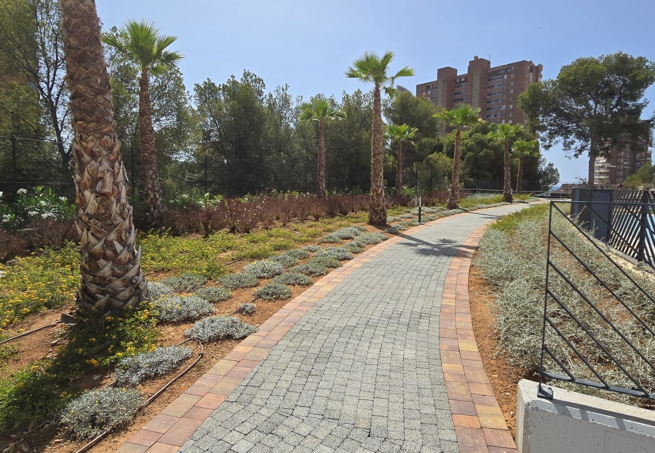 Apartment in Benidorm - BENIDORM BEACH (2 BEDROOMS) - 4 people