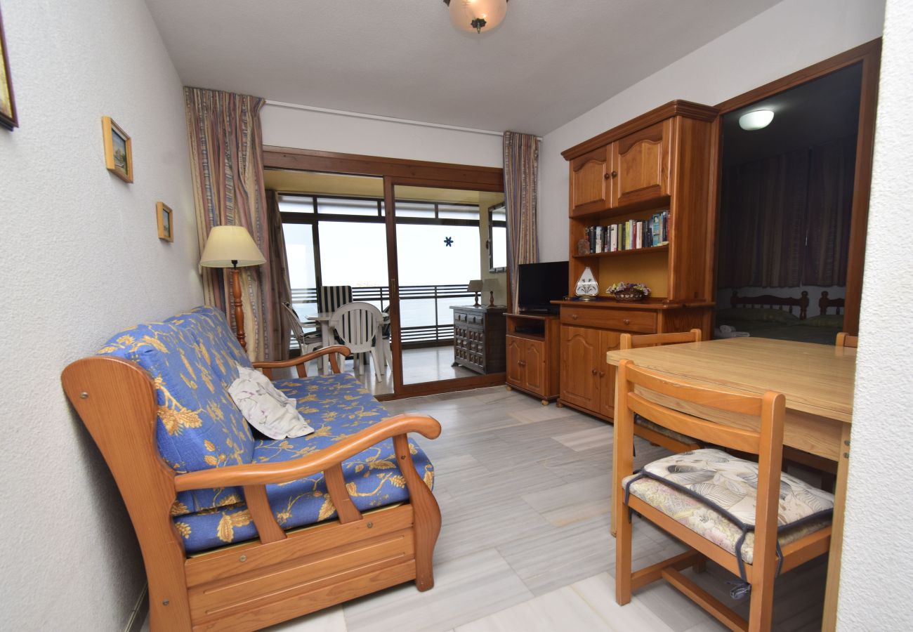Apartment in Benidorm - CACHIRULO (2 BEDROOMS)