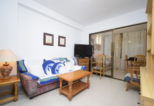 Apartment in Benidorm - GEMELOS 12 19B T2 (1 BEDROOM) Apartment in Benidorm - GEMELOS 12 19B T2 (1 BEDROOM)