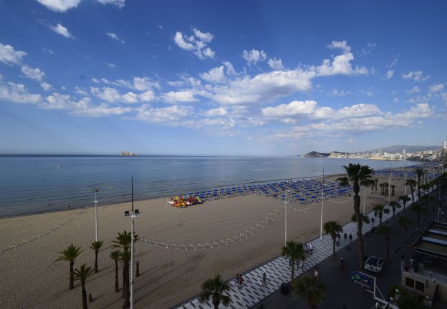Apartment in Benidorm - CACHIRULO 3A (2 BEDROOMS) Apartment in Benidorm - CACHIRULO 3A (2 BEDROOMS)