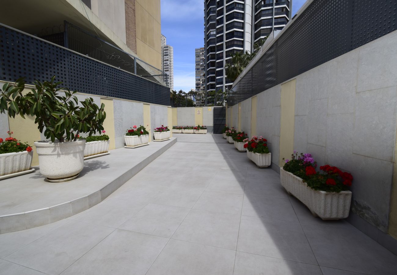 Apartment in Benidorm - GEMELOS 23 (2 BEDROOMS)