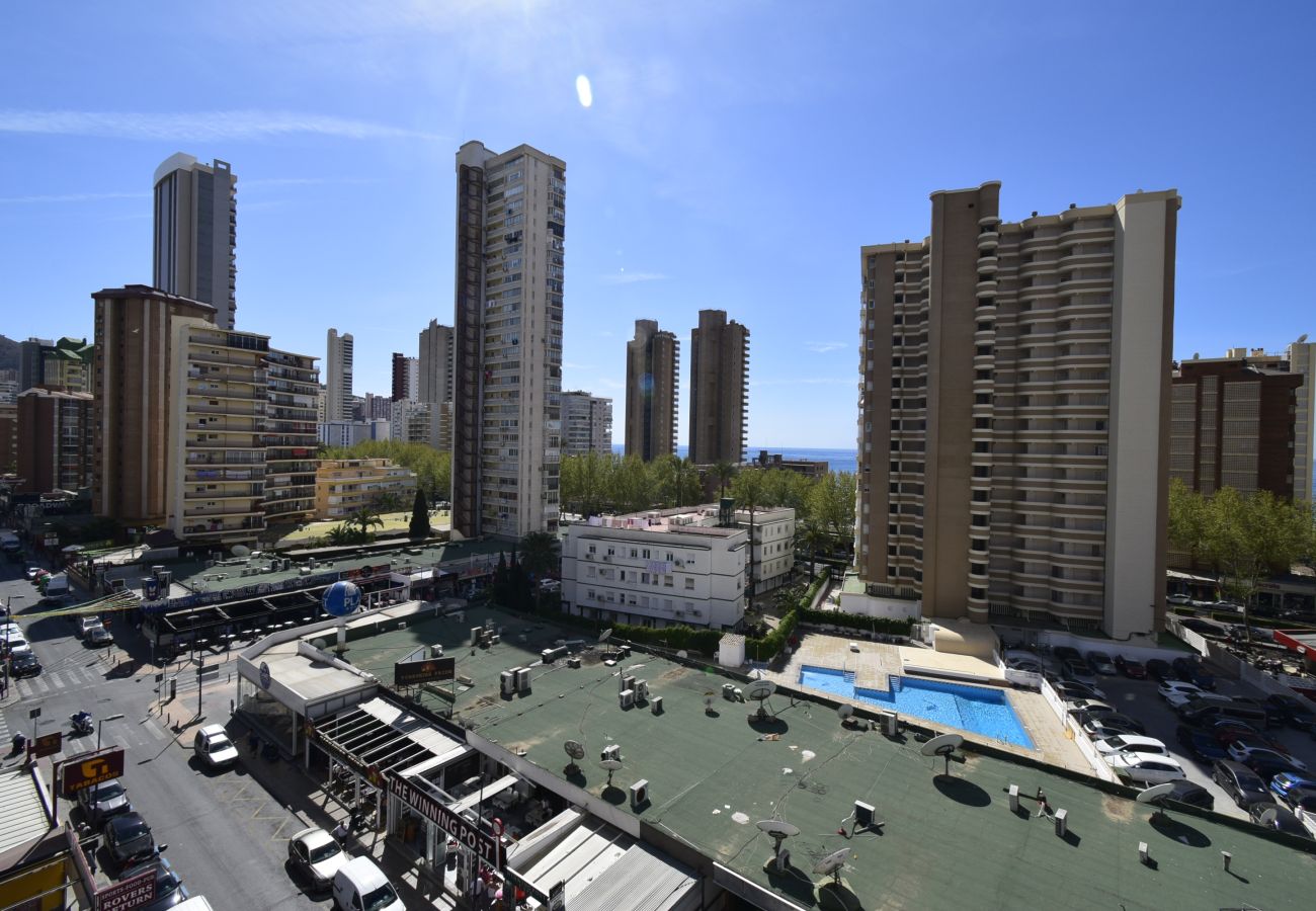 Apartment in Benidorm - GEMELOS 23 (2 BEDROOMS)