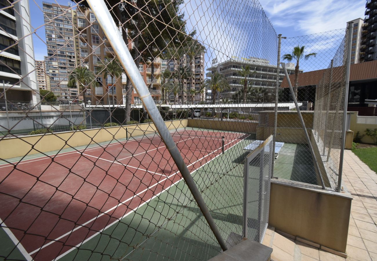 Apartment in Benidorm - GEMELOS 23 (2 BEDROOMS)