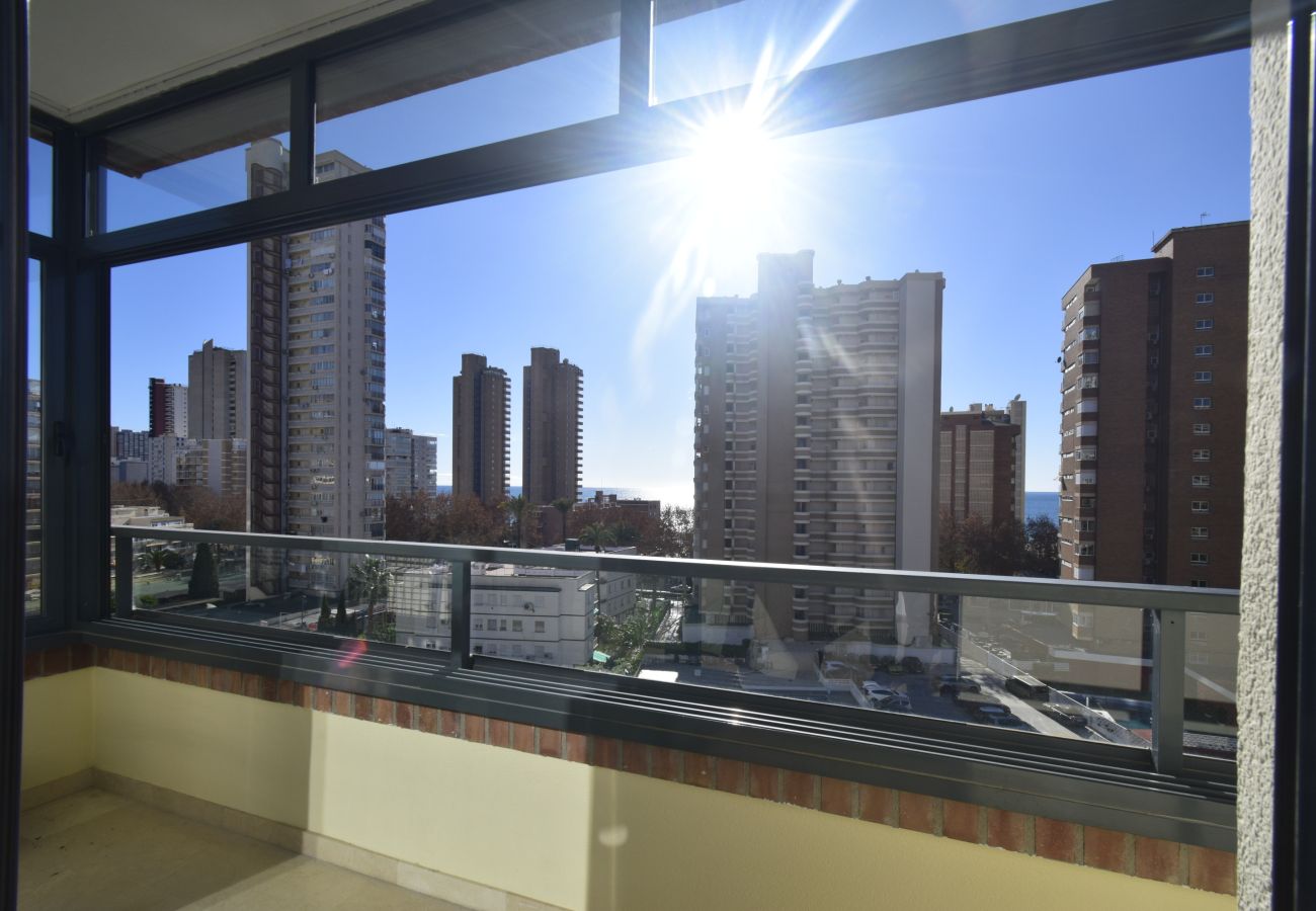 Apartment in Benidorm - GEMELOS 23 (2 BEDROOMS)