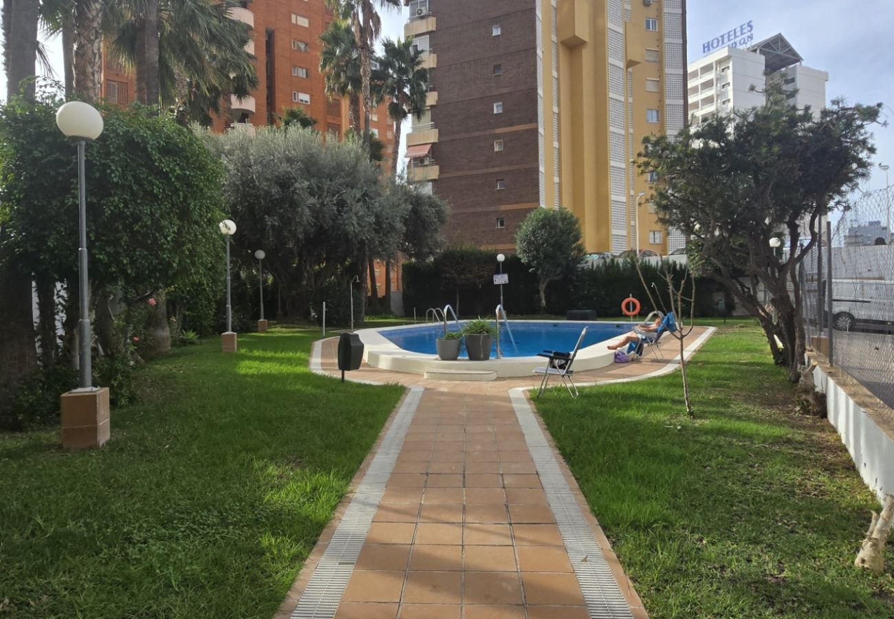 Apartment in Benidorm - GEMELOS 5 (1 BEDROOM)