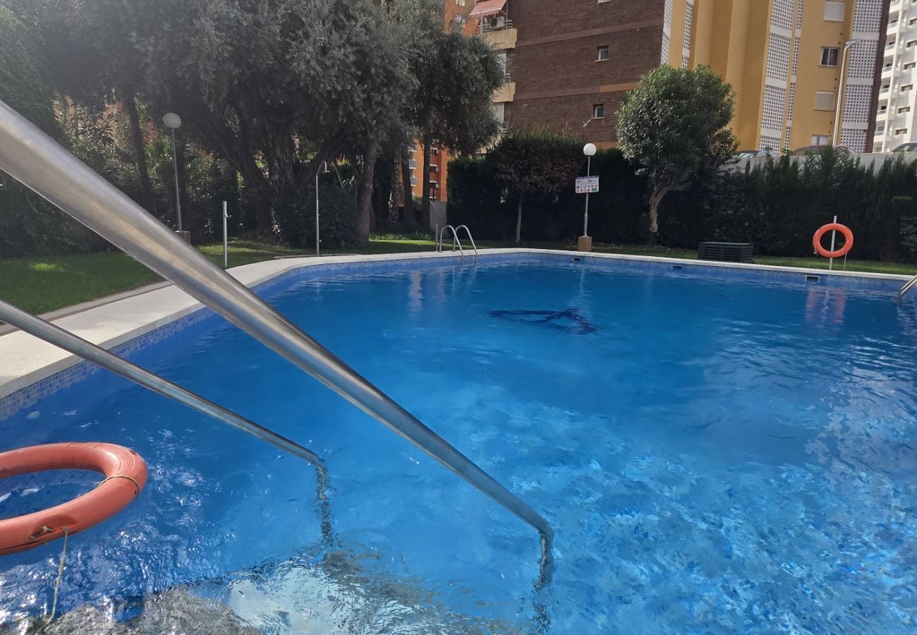 Apartment in Benidorm - GEMELOS 5 (1 BEDROOM)