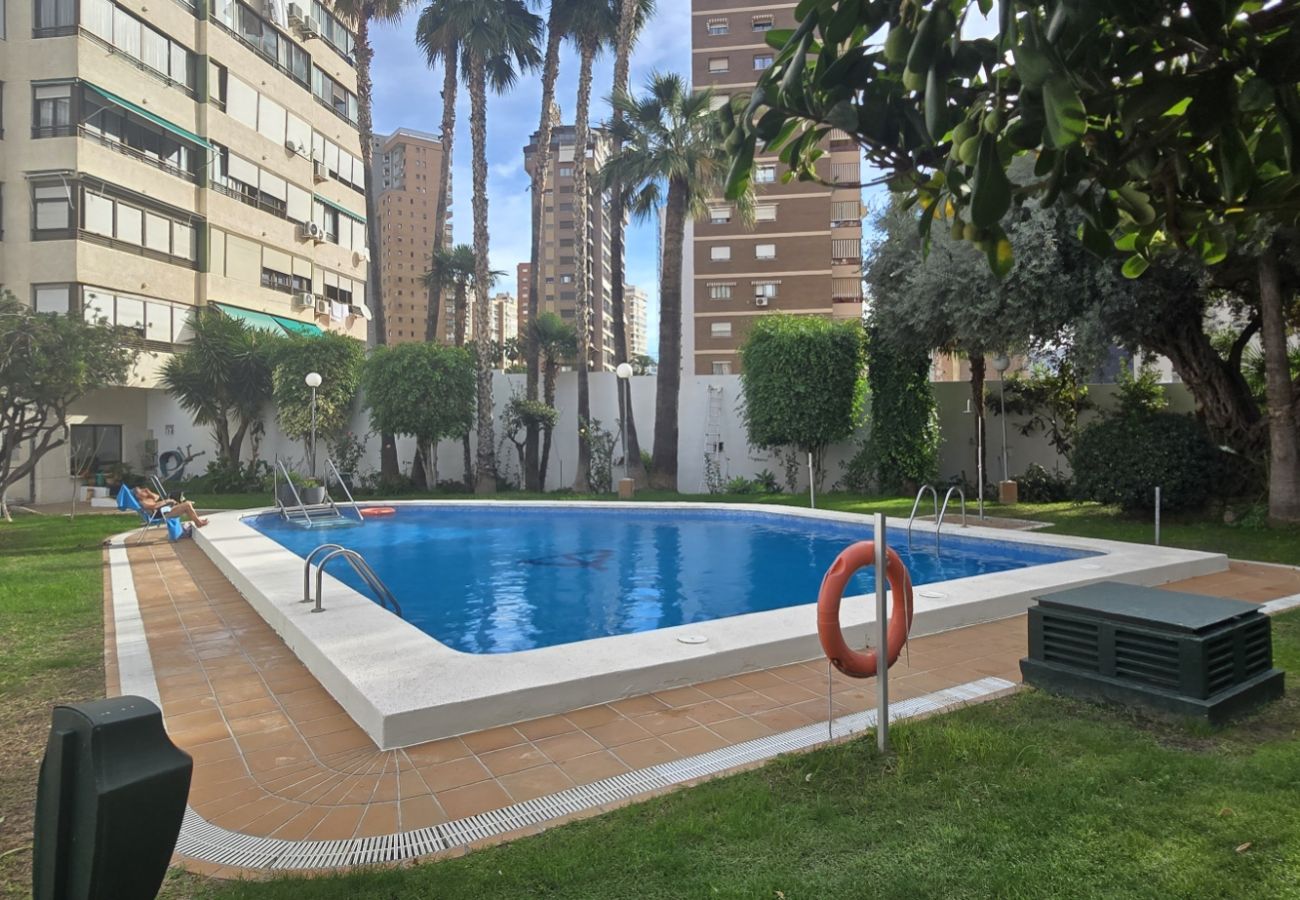 Apartment in Benidorm - GEMELOS 5 (1 BEDROOM)