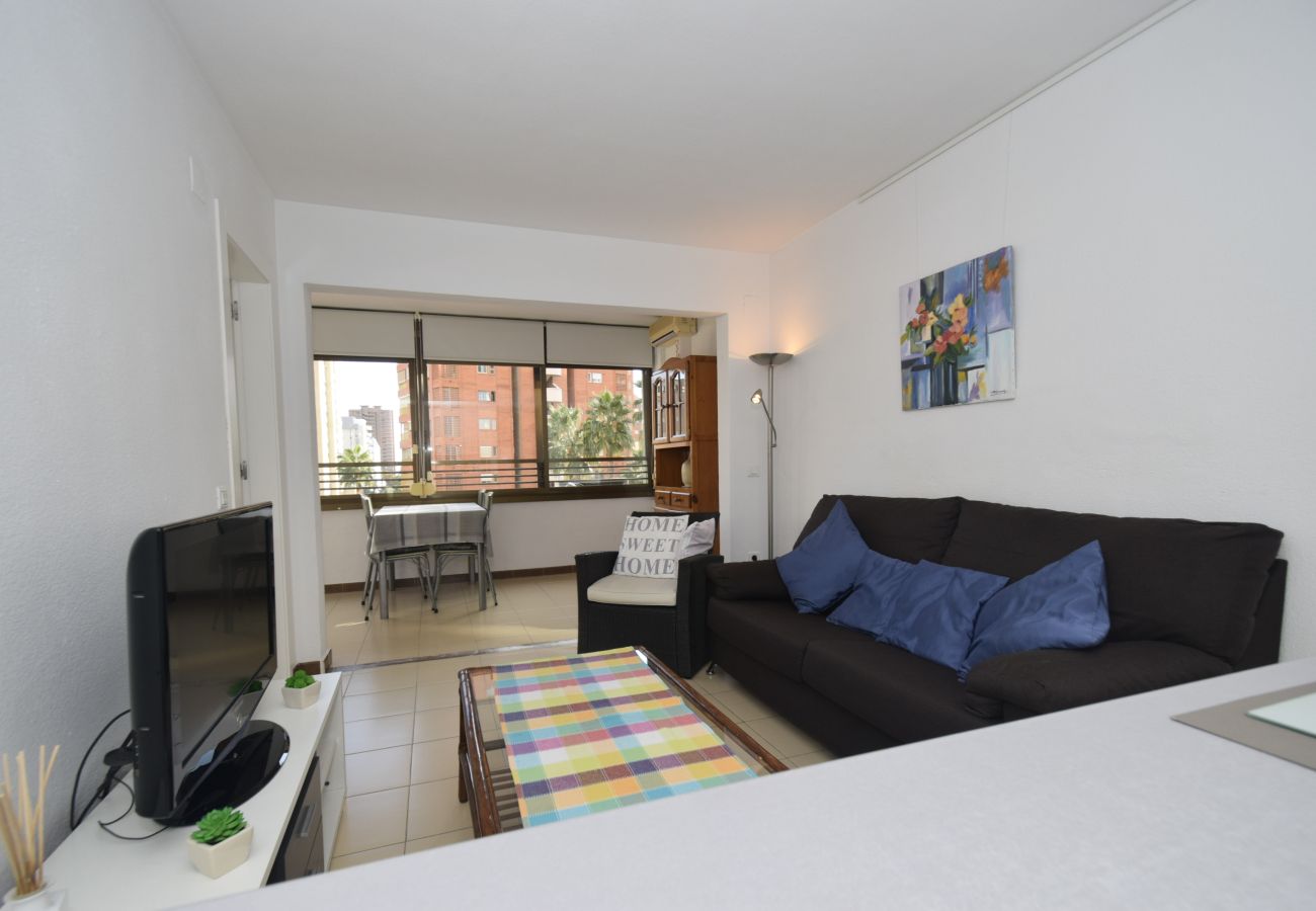 Apartment in Benidorm - GEMELOS 5 (1 BEDROOM)