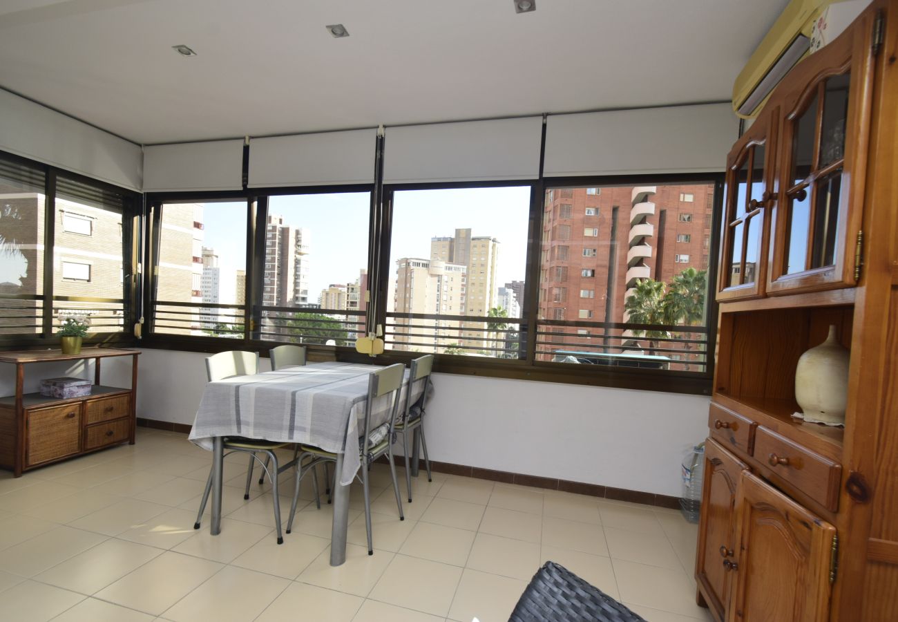 Apartment in Benidorm - GEMELOS 5 (1 BEDROOM)