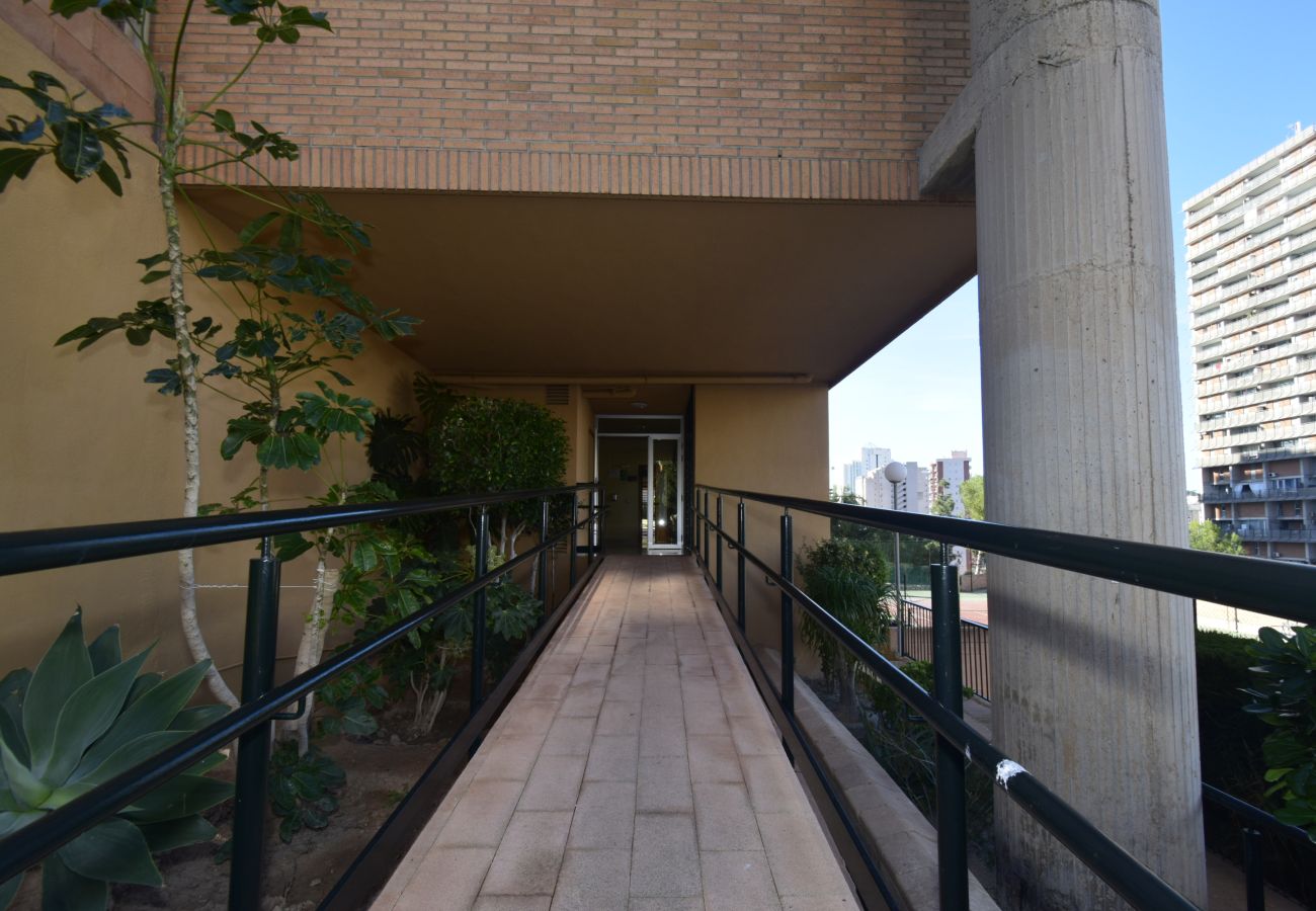 Apartment in Benidorm - COBLANCA 29 16-5