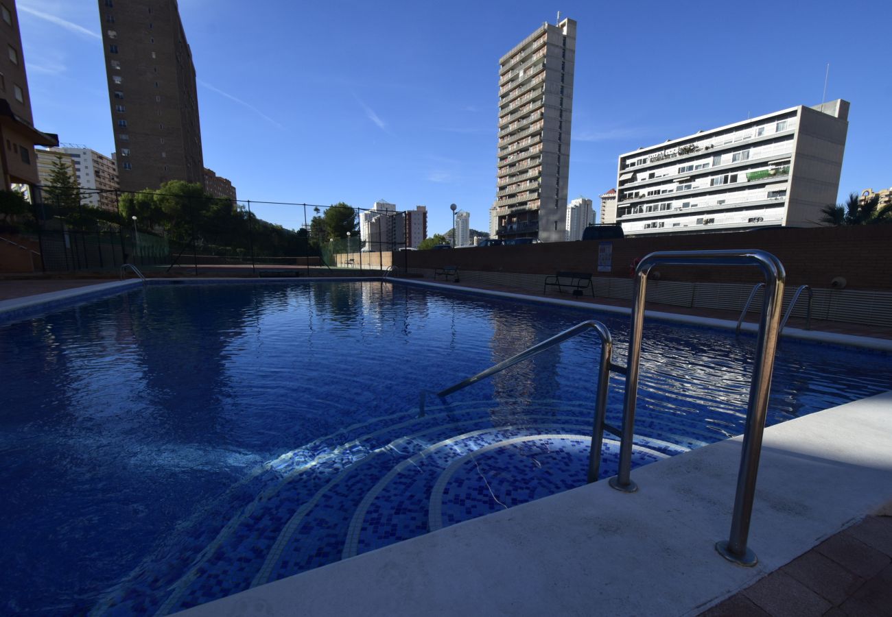 Apartment in Benidorm - COBLANCA 29 16-5