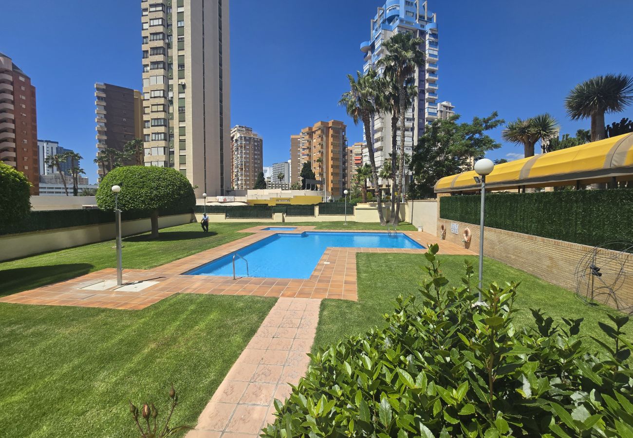 Apartment in Benidorm - TORRE IPANEMA