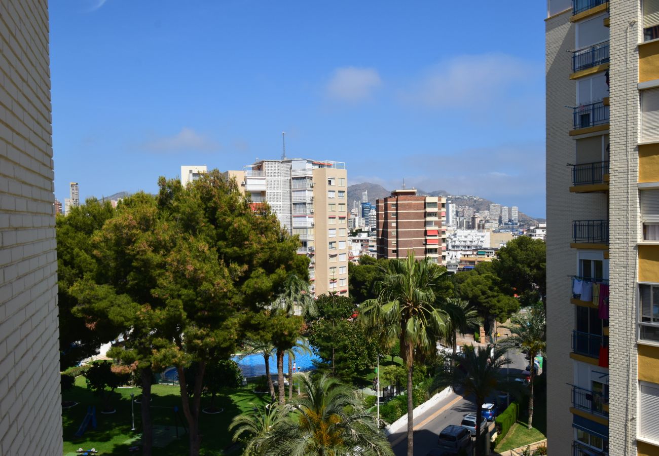 Apartment in Benidorm - TORRE CLUB MEDICO (2 BEDROOMS)