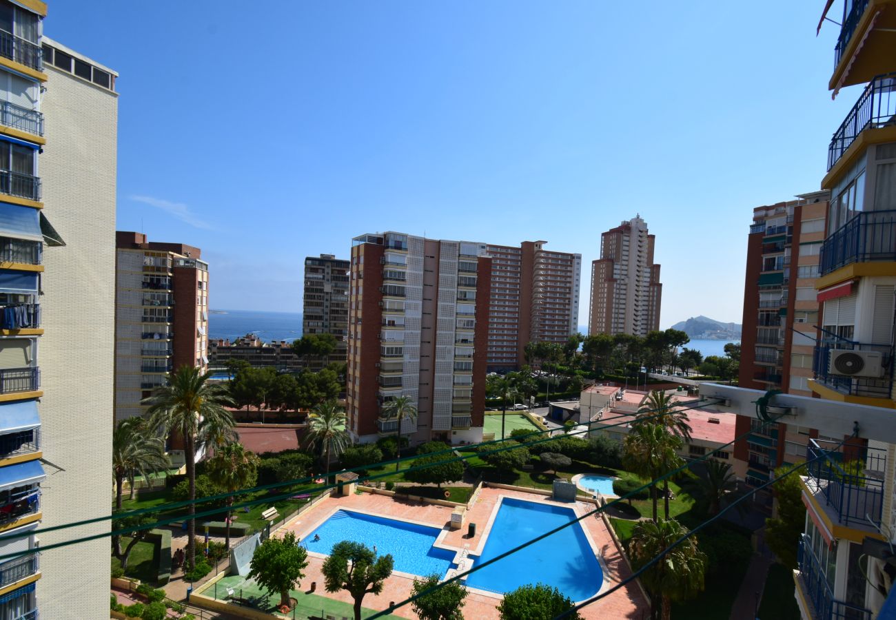 Apartment in Benidorm - TORRE CLUB MEDICO (2 BEDROOMS)
